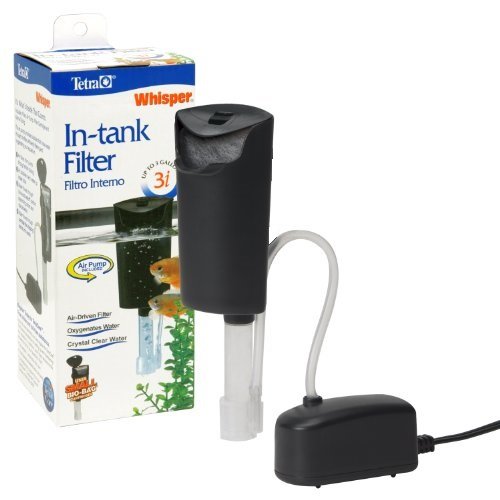small fish filter pump
