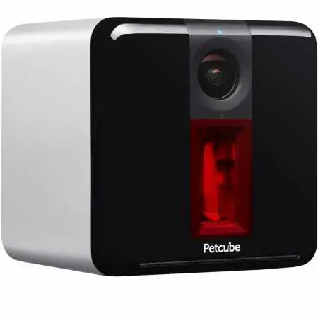 First Generation Petcube Camera for Pets with HD 720p Video, Wi-Fi and Two-Way Audio review