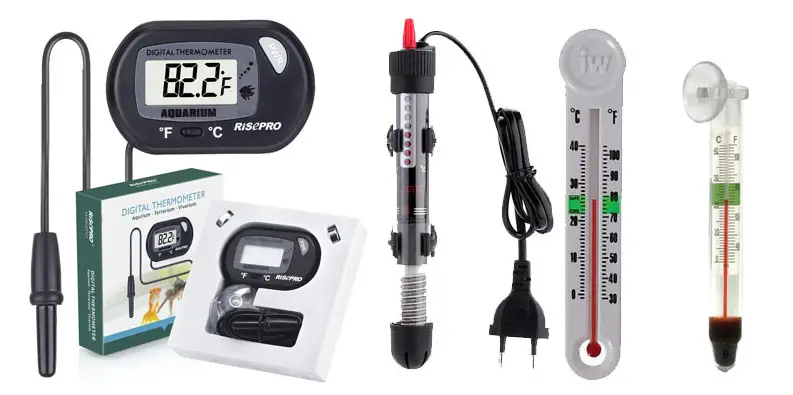 Everything You Should Know about Aquarium Thermometers