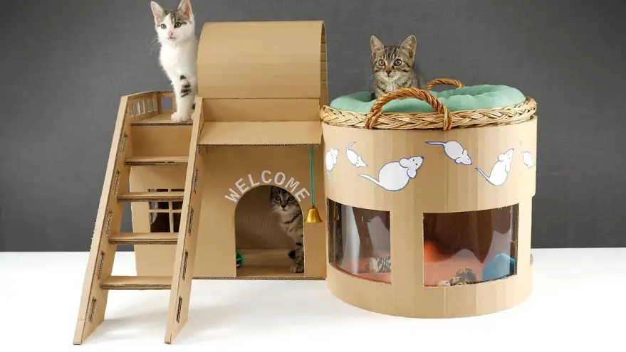 Cat Pet House