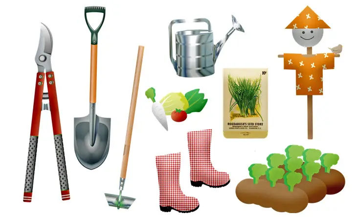 many garden tools