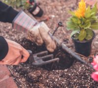 Tools You Need In Gardening