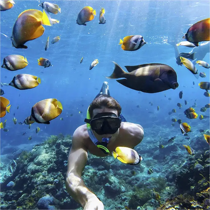 gopro underwater with lens protection